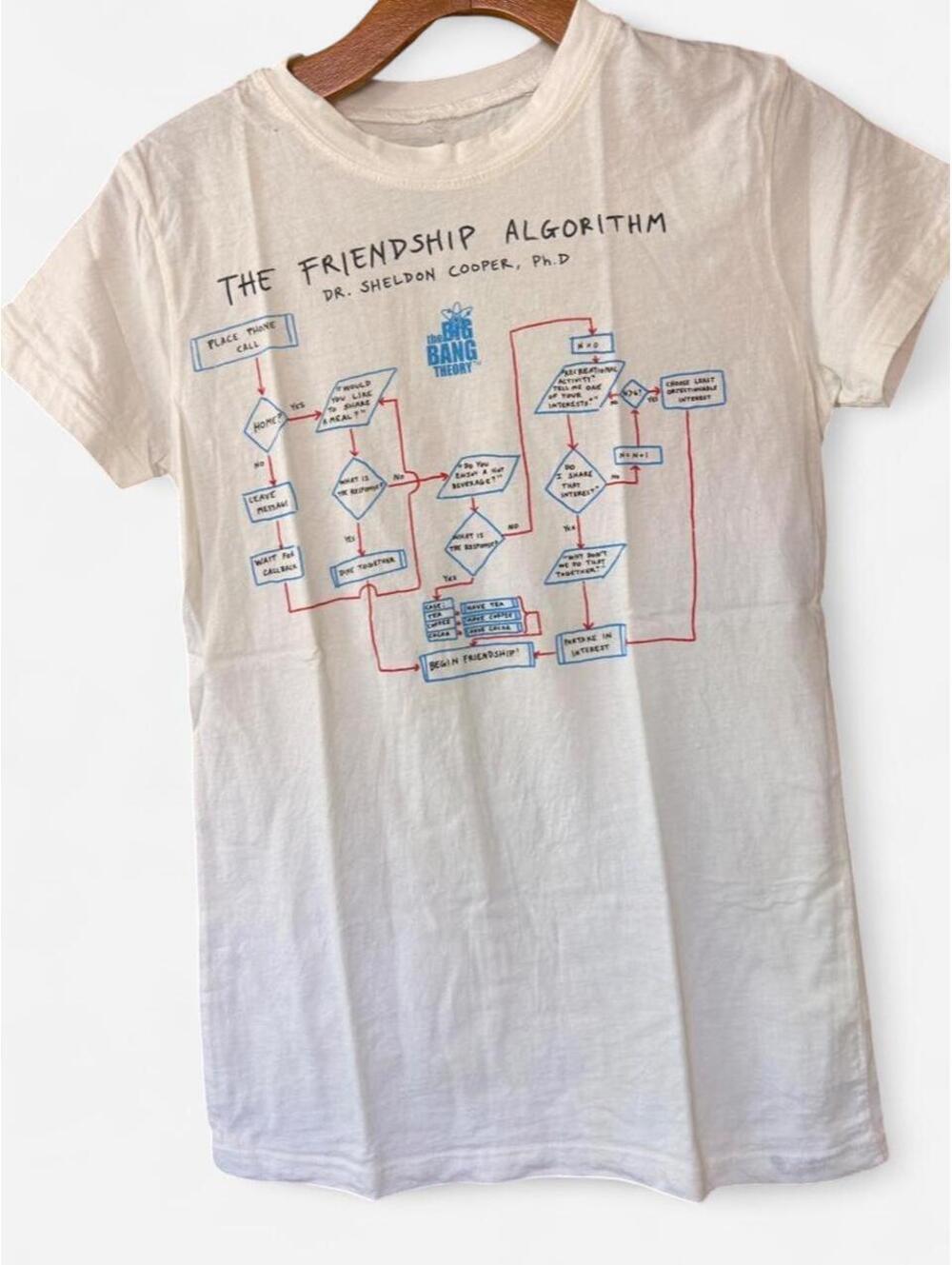 The Big Bang Theory Sheldon Cooper Friendship Algorithm Graphic T-Shirt